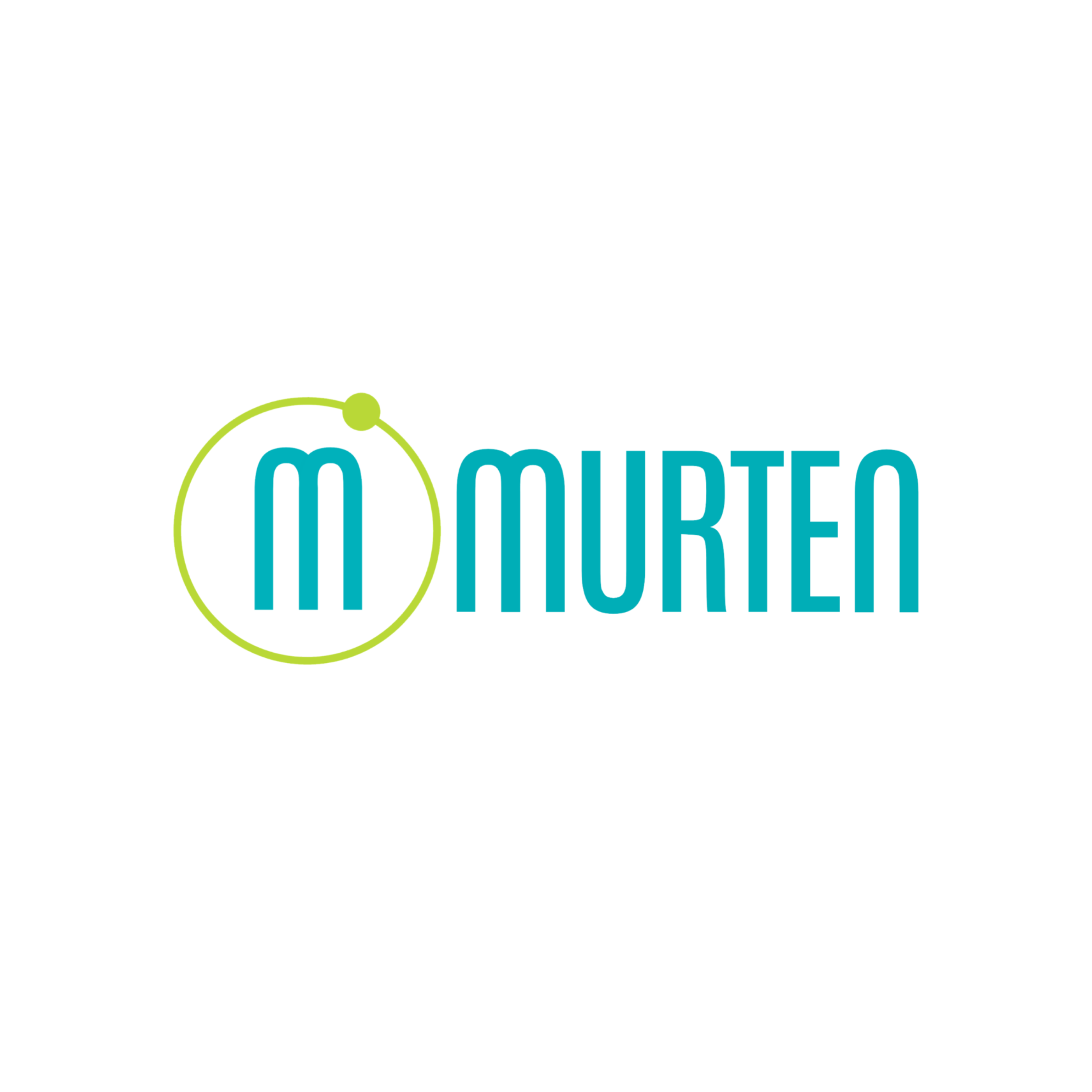 Murten Ingenieros